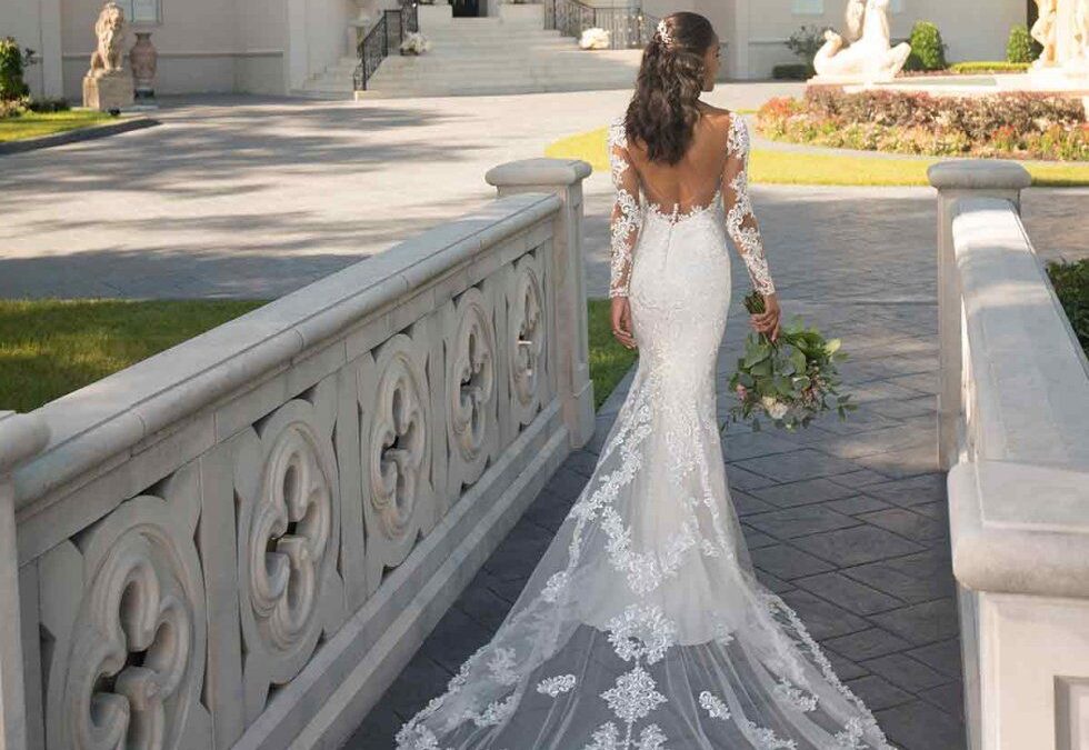 bride with beautiful lace train